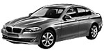 BMW F10 P00AC Fault Code